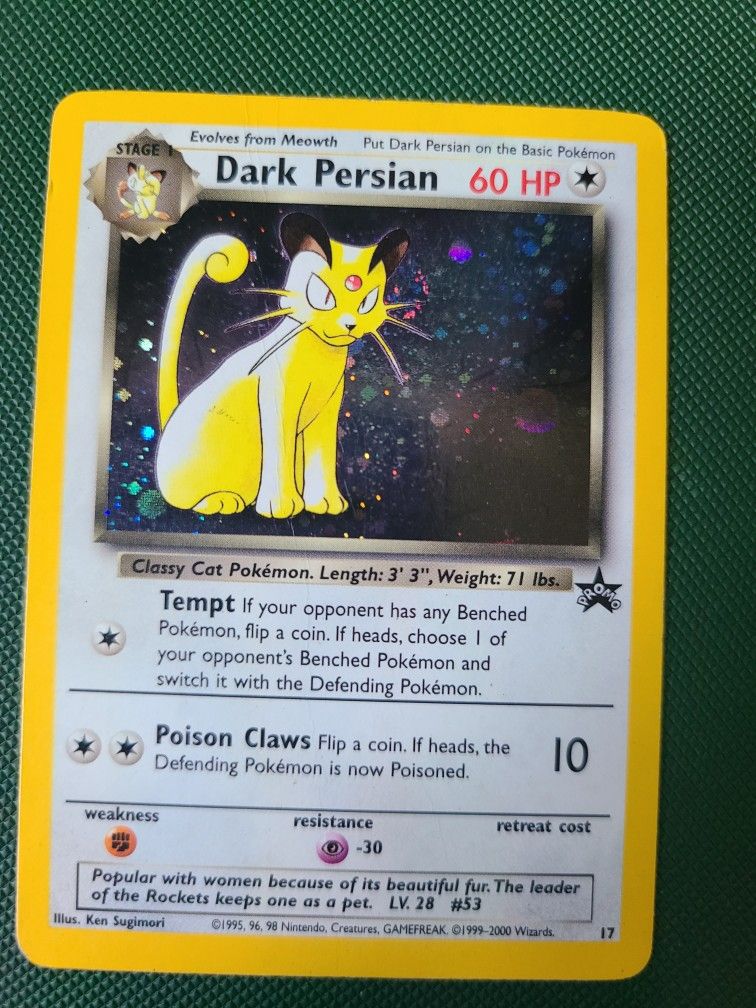 Dark Persian #17