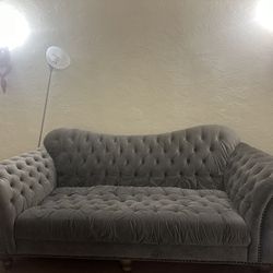 Grey Beautiful Couches 