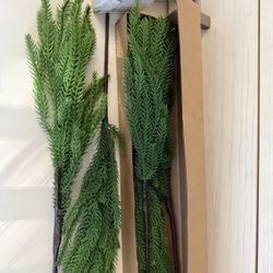 Pine Branches