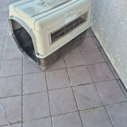 Dog Kennel 