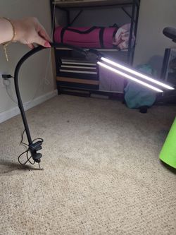 Dual head LED desk lamp with clamp