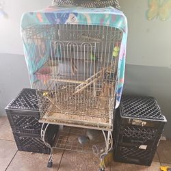 Bird Cage With One Parakeet 