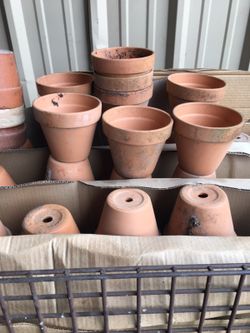 Flower Pots