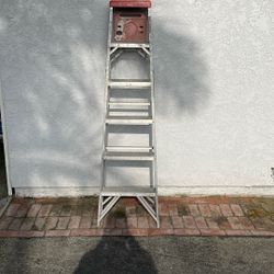 6 Ft Ladder
