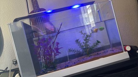 Fishing tank