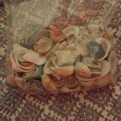 Bag Of Sea Shells 7 Dollars 