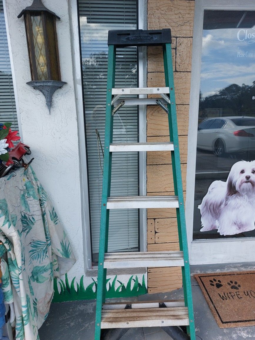 6 Ft Fiberglass Ladder