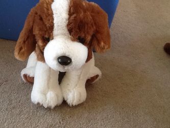 Stuffed animals