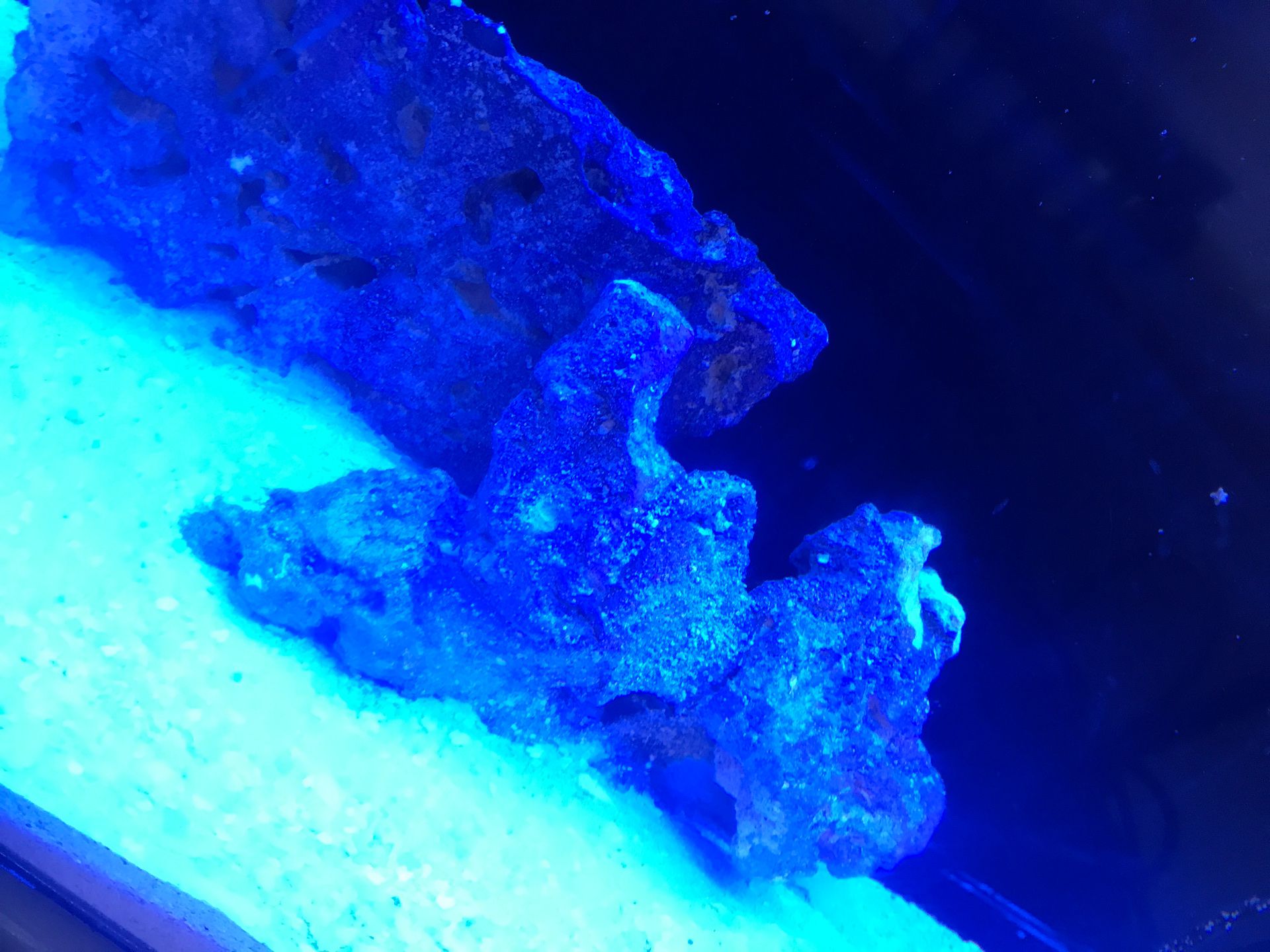 Fish tank rocks