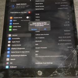 iPad 8th Generation (Unlocked W/Factory Resetting) 