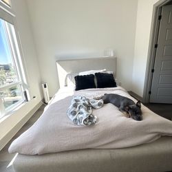 Living Spaces Queen Upholstered Platform Bed With Storage Drawers