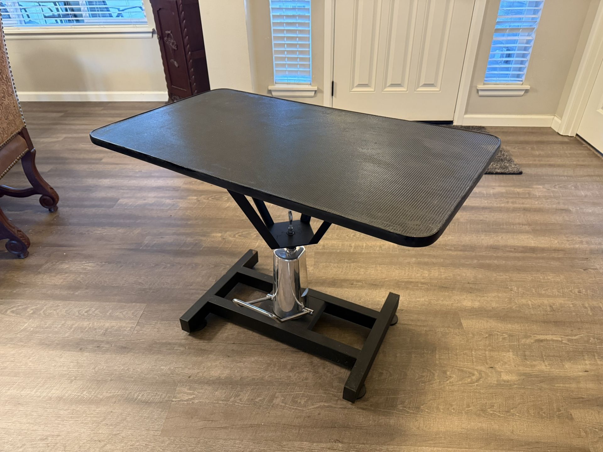 Professional Hydraulic Dog Grooming Table