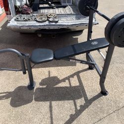 Weight Bench 