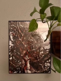 Nature Study No. 01 — 35mm Film Photography — 11x14