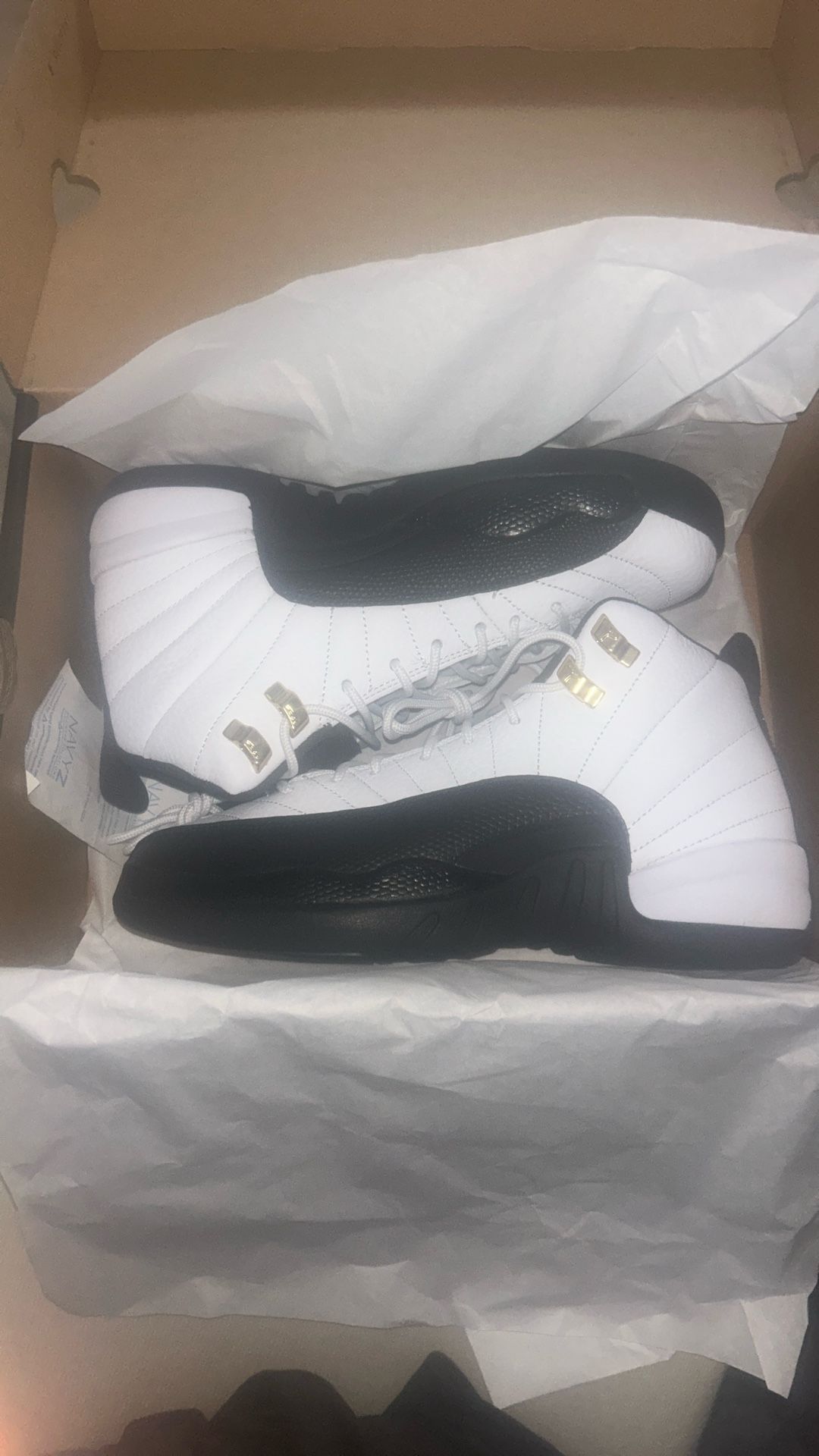 Jordan 12s