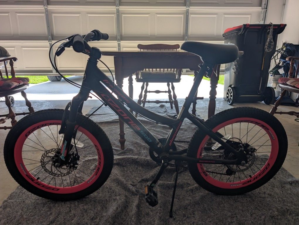 Girls  Mountain Bike 