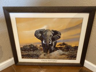 Elephant Frame 
