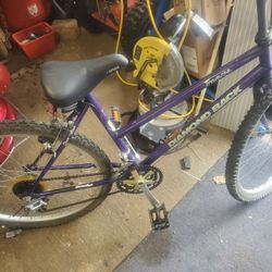 26" Diamondback 