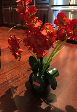 Orange Orchid plant 23 in high