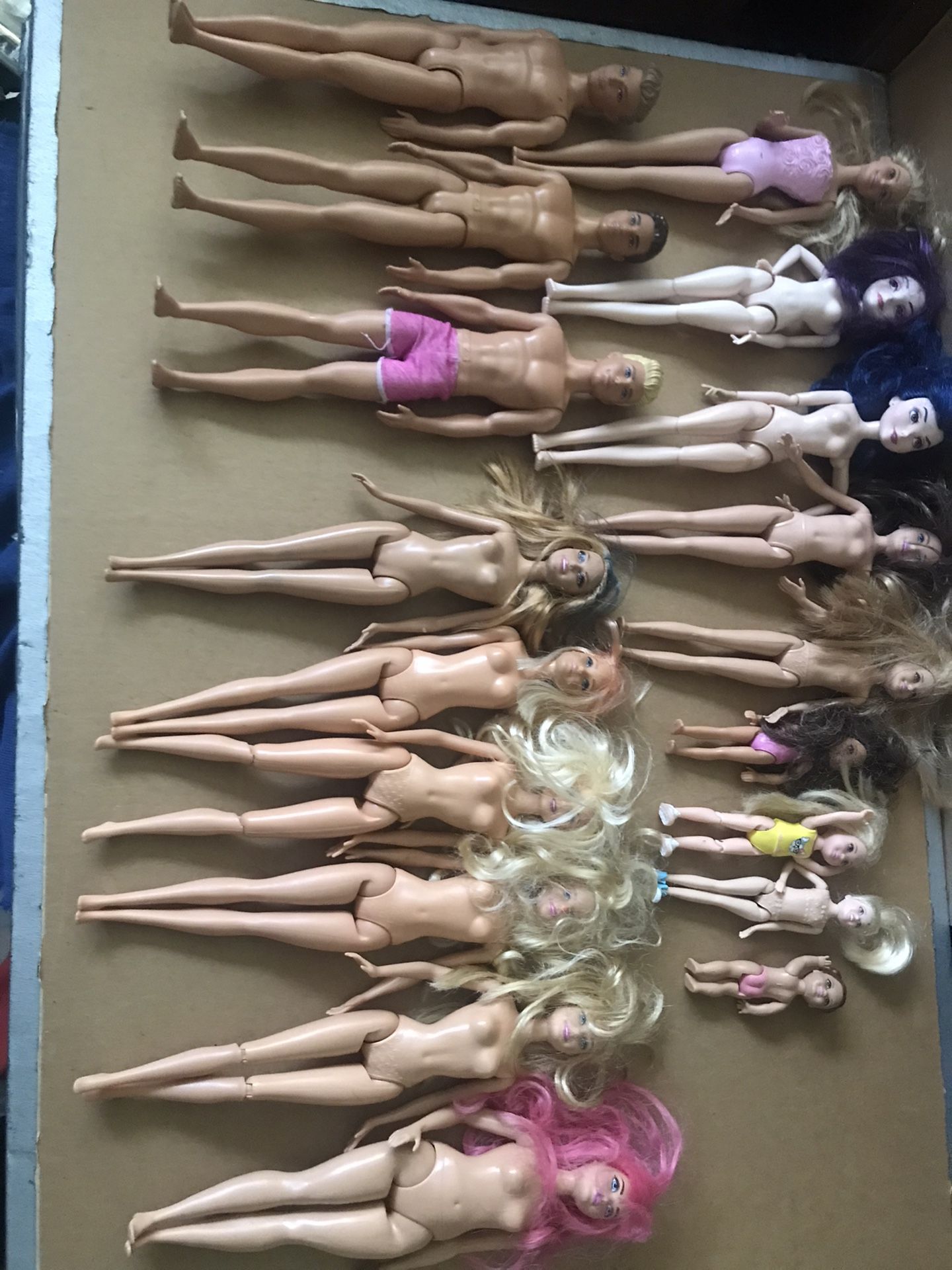 Barbie & Ken No Clothes Plus More(18 In All)