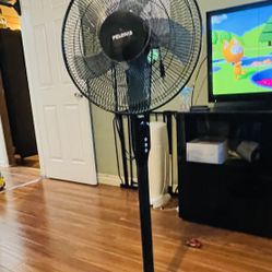 Fan