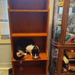 Wooden Shelf 