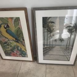 Framed Tropical Parrot Artwork & Ocean Boardwalk