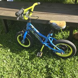 12 In Bike