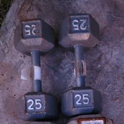 25 Lb Dumbells