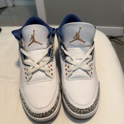 Jordan 3 Wizards