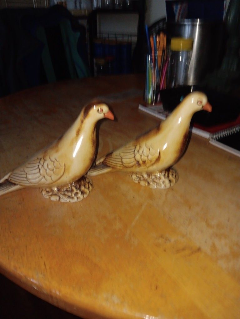 Birds