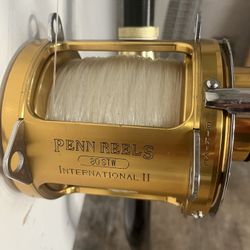 Fishing Reel 