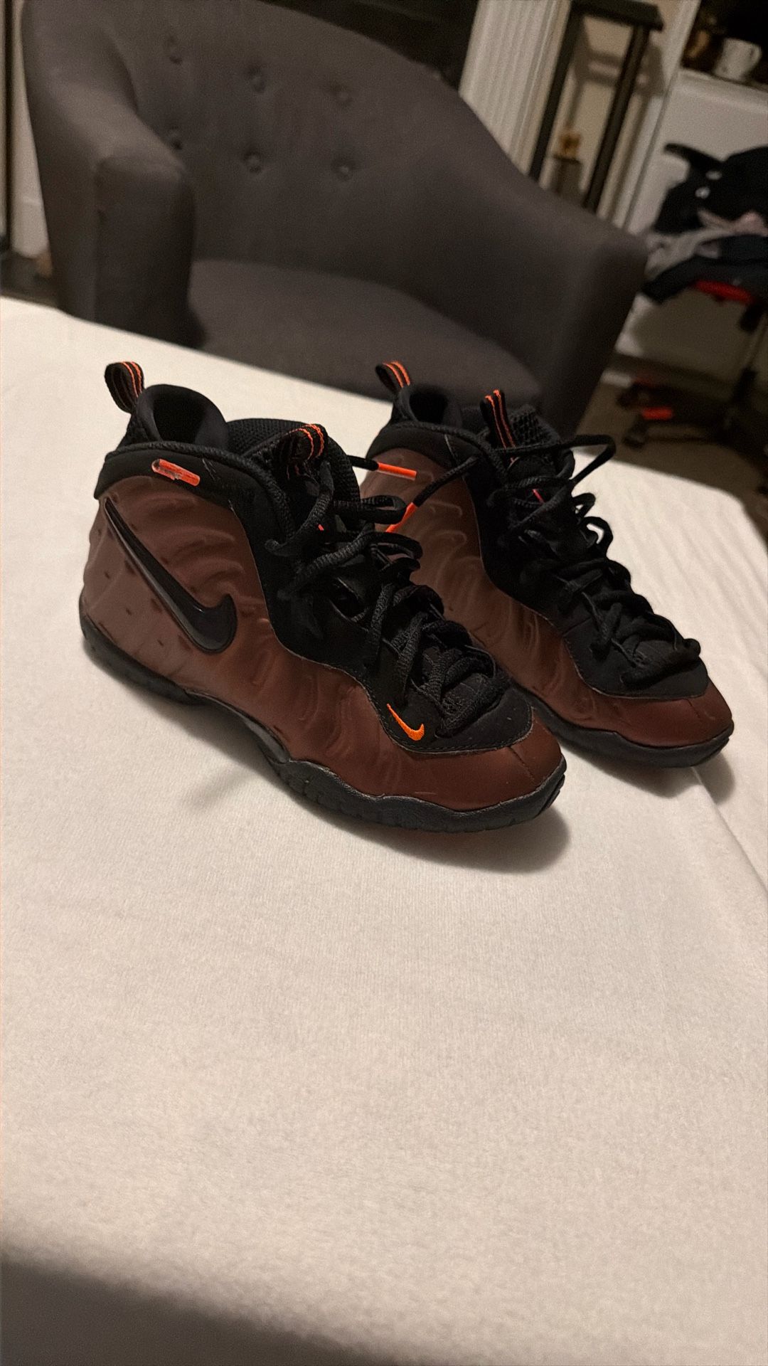 Foamposite Bronze