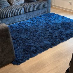 Large Fluffy Rug
