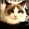 Fran