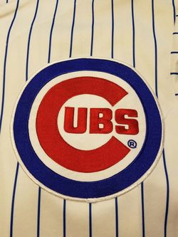 Cubs Jersey Large