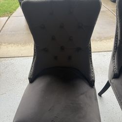 Dinning Chairs 