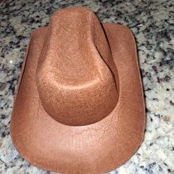 Dog cowboy hat