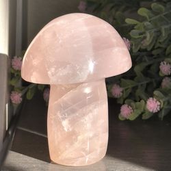 Rose Quartz 🍄🌸