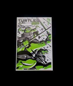Teenage Mutant Ninja Turtles: Black, White & Green #2