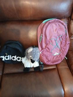 3pc back pack. The North Face -Adidas and Penguin