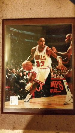 Scotty Pippen wall placard