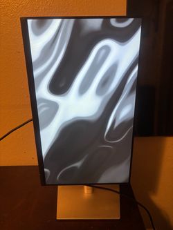 22 inch Dell Computer Monitor with Stand