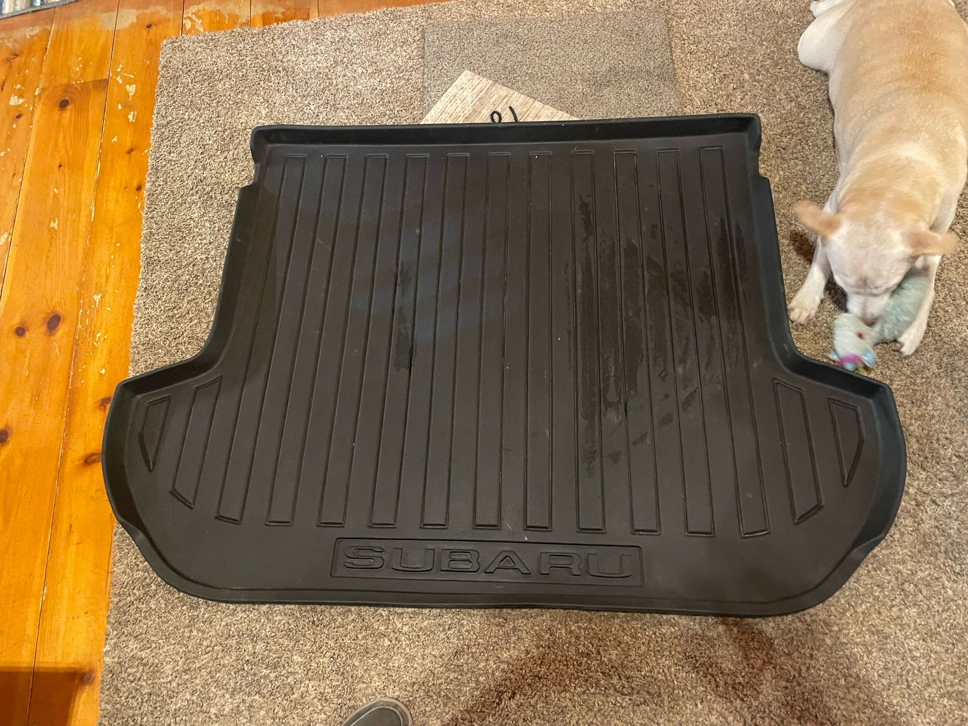 Subaru Cargo Mat