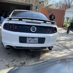2013 Mustang Cail Spec Gt 