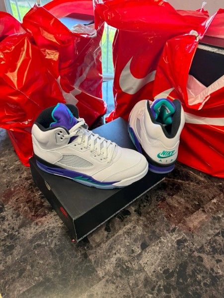 Air Jordan Grape 5