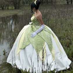 Princess Tiana  Dress 