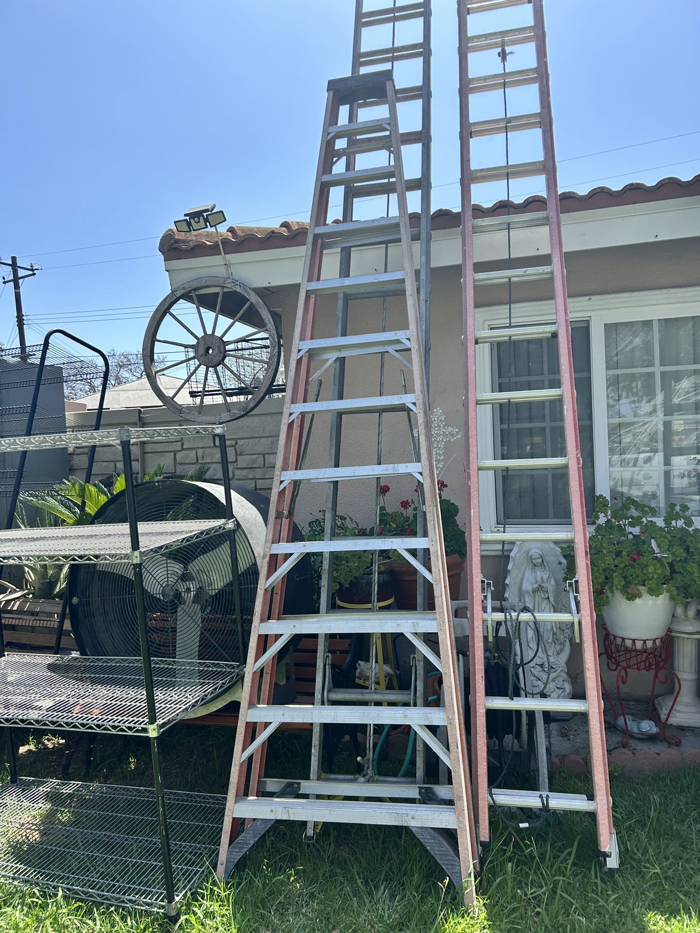 Ladder 12 Ft