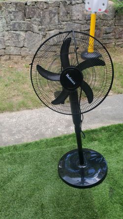 Fan