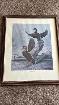 “KALAMAZOO River  BLACKS “